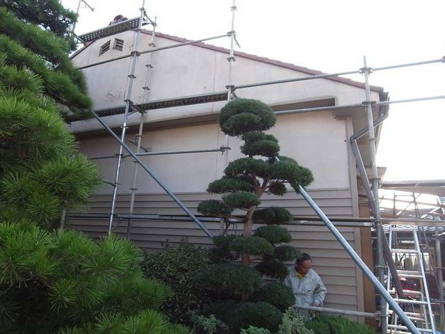 “『永久美人』で雨漏り防止”